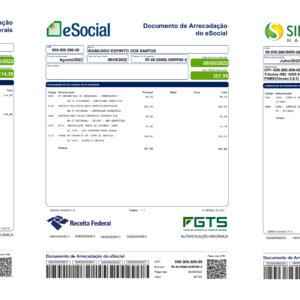 Serviço de Emissão das Guias dos Tributos ( DARF, DAS, DAE )