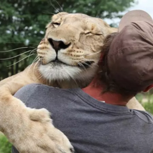 Seguro Malha Fina  (Malha Fiscal e CPF)